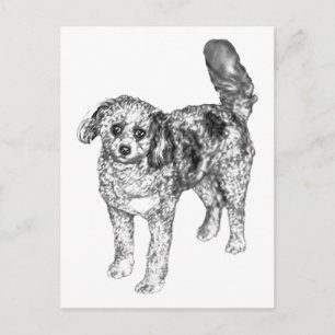 Gentle Shaded Dog Shares Festive Winter Cheer Postcard