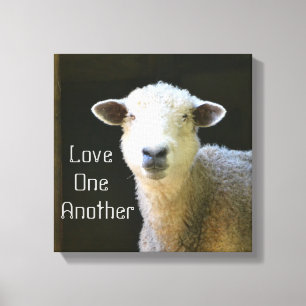 Gentle Sheep Canvas Print
