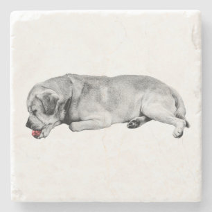 Gentle Sip, Tiny Spark Stone Coaster