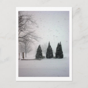 Gentle Snows Postcard