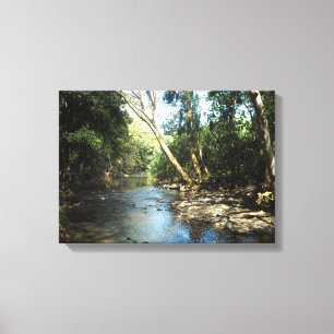 Gentle Stream Canvas Print