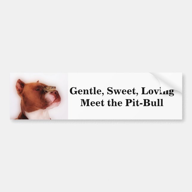 Gentle, Sweet, Loving Meet the Pit-Bull Bumper Sticker (Front)
