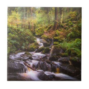 Gentle Waterfall Woodland Brook Tile