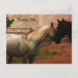 Gentle Whisper... Postcard