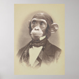 Gentleman Chimpanzee in Vintage Picture Poster