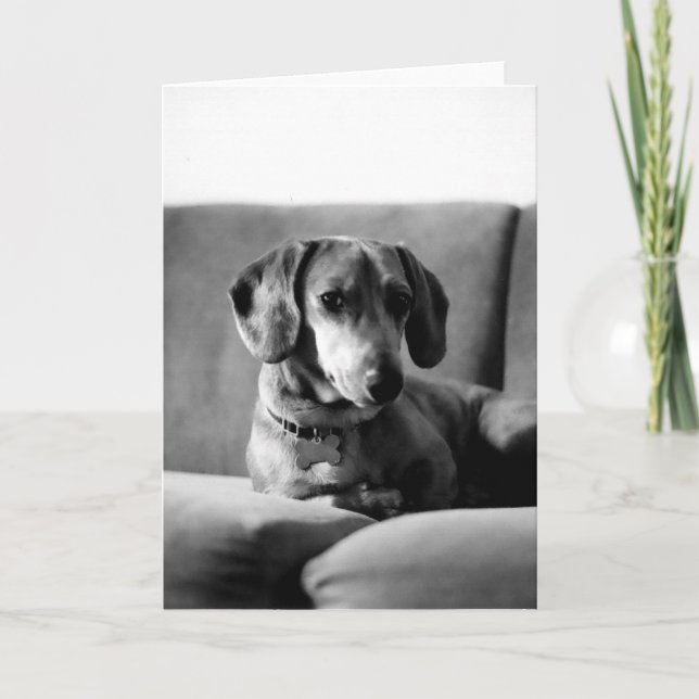 Gentleman Daschund Card (Front)