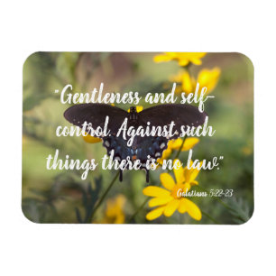Gentleness and self-control magnet