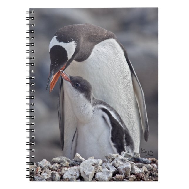 Gentoo and Chick Notebook (Front)