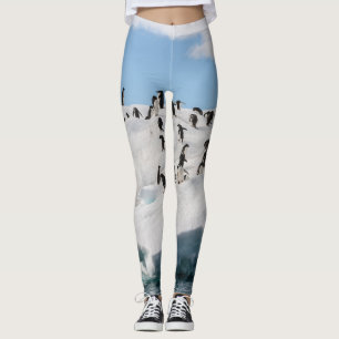 Gentoo Penguin Antarctica Iceberg Playtime Leggings