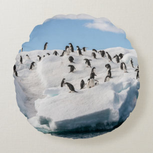 Gentoo Penguin Antarctica Iceberg Playtime Round Pillow
