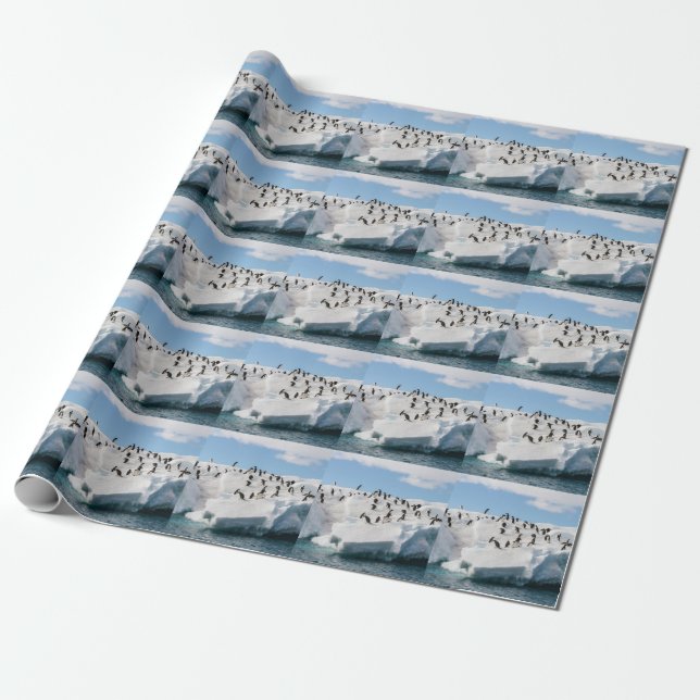 Gentoo Penguin Antarctica Iceberg Playtime Wrapping Paper (Unrolled)