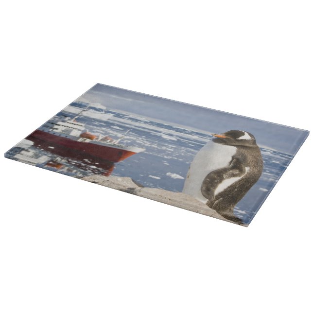 Gentoo Penguin Cutting Board (Corner)