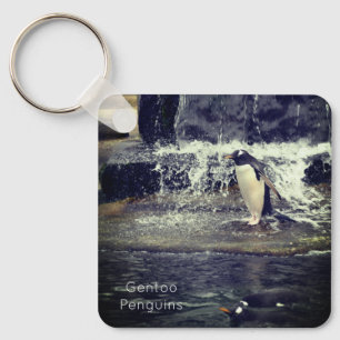 Gentoo Penguin & Friends Edinburgh Zoo Scotland Keychain