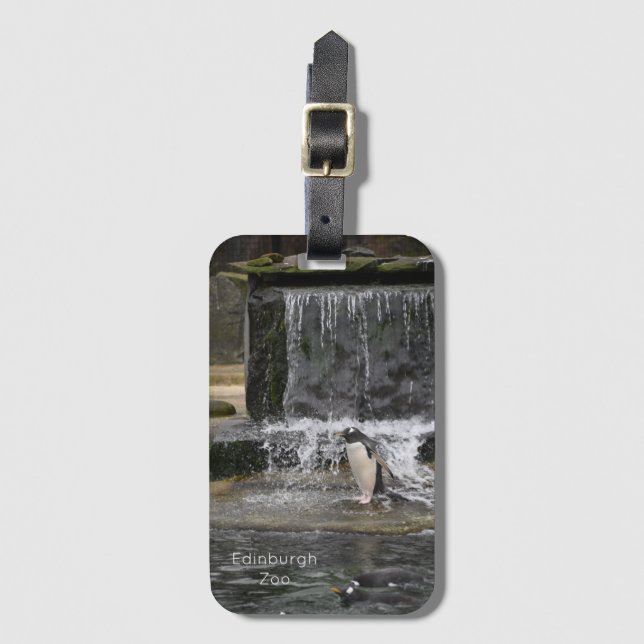 Gentoo Penguin & Friends Edinburgh Zoo Scotland Luggage Tag (Front Vertical)
