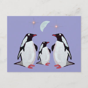 Gentoo Penguin Greetings Postcards