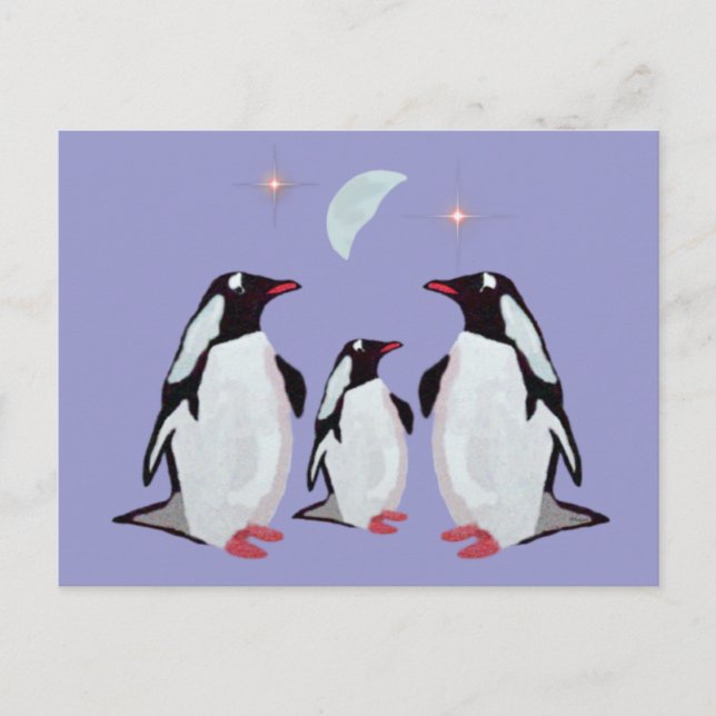 Gentoo Penguin Greetings Postcards (Front)