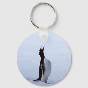 Gentoo penguin keychain