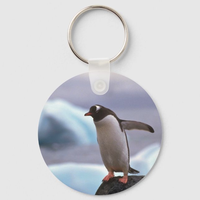 Gentoo Penguin Keychain (Front)