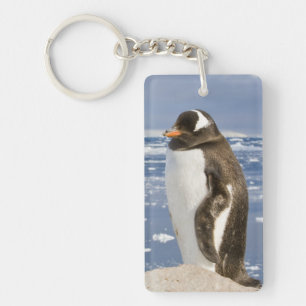 Gentoo Penguin Keychain