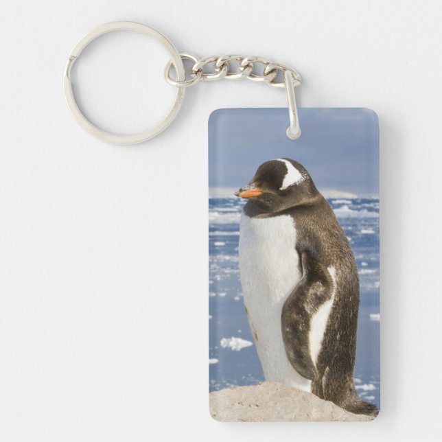Gentoo Penguin Keychain (Front)