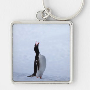 Gentoo penguin keychain