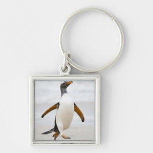 Gentoo Penguin Keychain