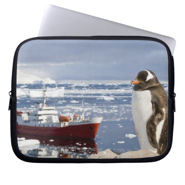 Gentoo Penguin Laptop Sleeve (Front)
