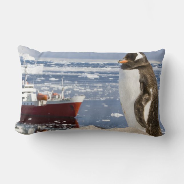 Gentoo Penguin Lumbar Pillow (Front)
