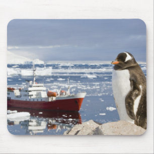 Gentoo Penguin Mouse Pad