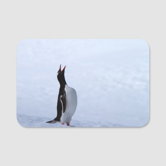 Gentoo penguin name tag (Front)