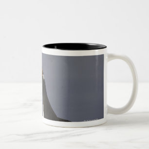 Gentoo penguin (Pygoscelis papua) adult bird Two-Tone Coffee Mug