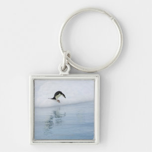 Gentoo penguin (Pygoscelis papua) Keychain