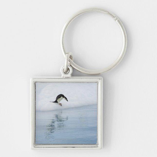 Gentoo penguin (Pygoscelis papua) Keychain (Front)