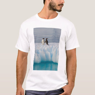 gentoo penguin, Pygoscelis Papua, on glacial ice T-Shirt