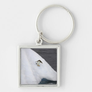 Gentoo penguin Pygoscelis papua) standing Keychain