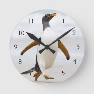 Gentoo Penguin Round Clock