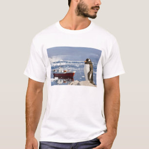 Gentoo Penguin T-Shirt
