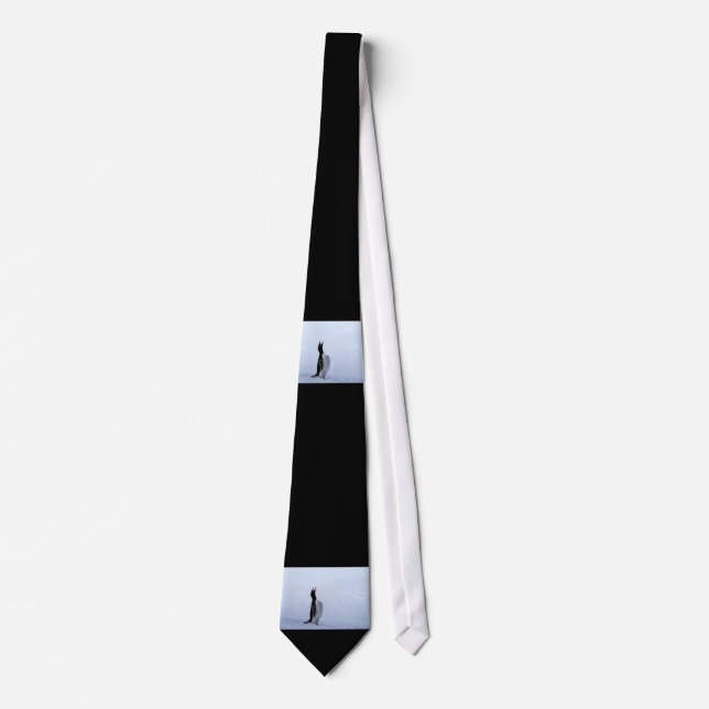 Gentoo penguin tie (Front)