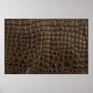 Genuine brown alligator leather, close up to show poster