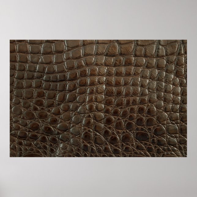 Genuine brown alligator leather, close up to show  poster (Front)