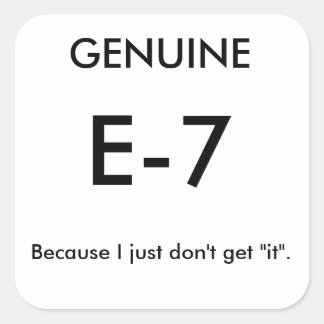Genuine E-7 Joke Stickers