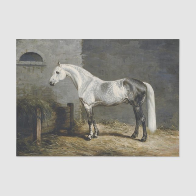 Genuine (Not AI) Dapple Grey Horse Painting Tissue Paper (Front)