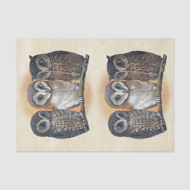 Genuine (Not AI) Pipe Smoking Owls Illustration Tissue Paper (Front)