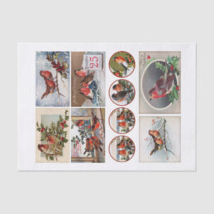 Genuine (not AI) Robin Bird Ephemera Fussy Cuts Tissue Paper