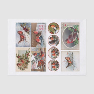 Genuine (not AI) Robin Bird Ephemera Fussy Cuts Tissue Paper