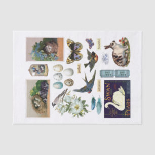 Genuine (not AI) Vintage Blue-Themed Ephemera Tissue Paper