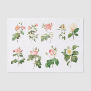 Genuine (not AI) Vintage Botanical Flowers Tissue Paper