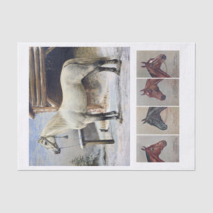 Genuine (not AI) Vintage Horse Paintings Tissue Paper