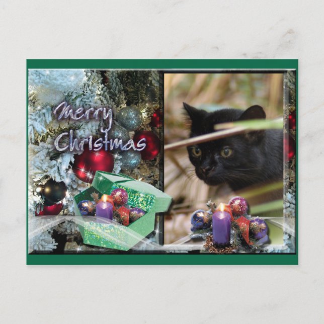 Geoffroy Cat Christmas Postcard (Front)