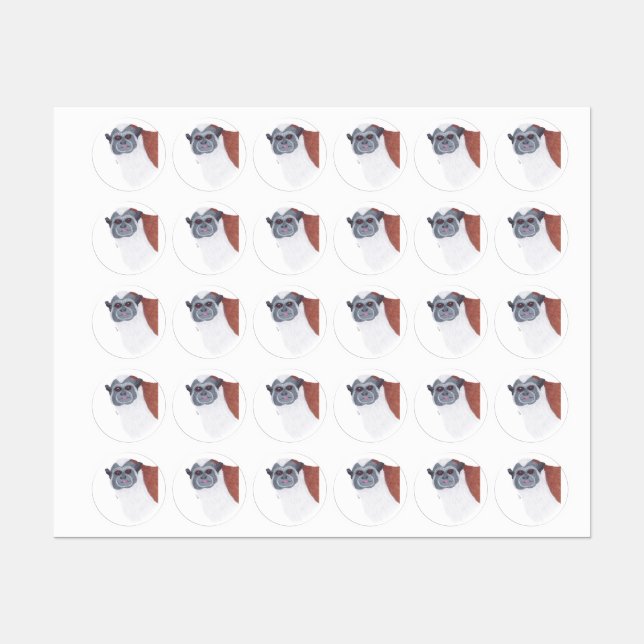 GEOFFROYS TAMARIN  (Sheet)